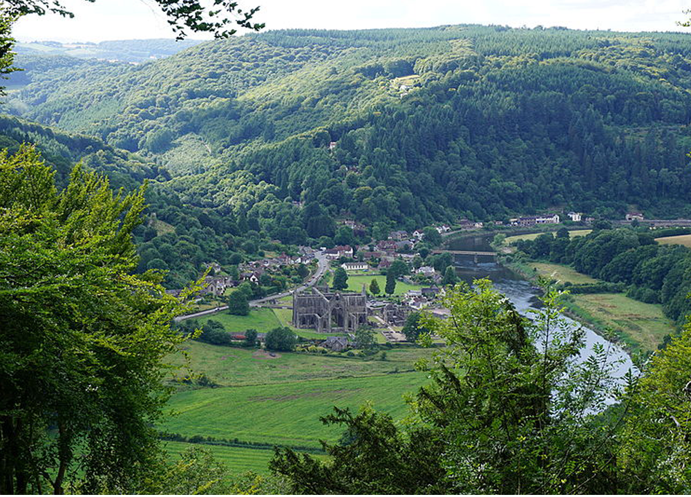 Tintern view